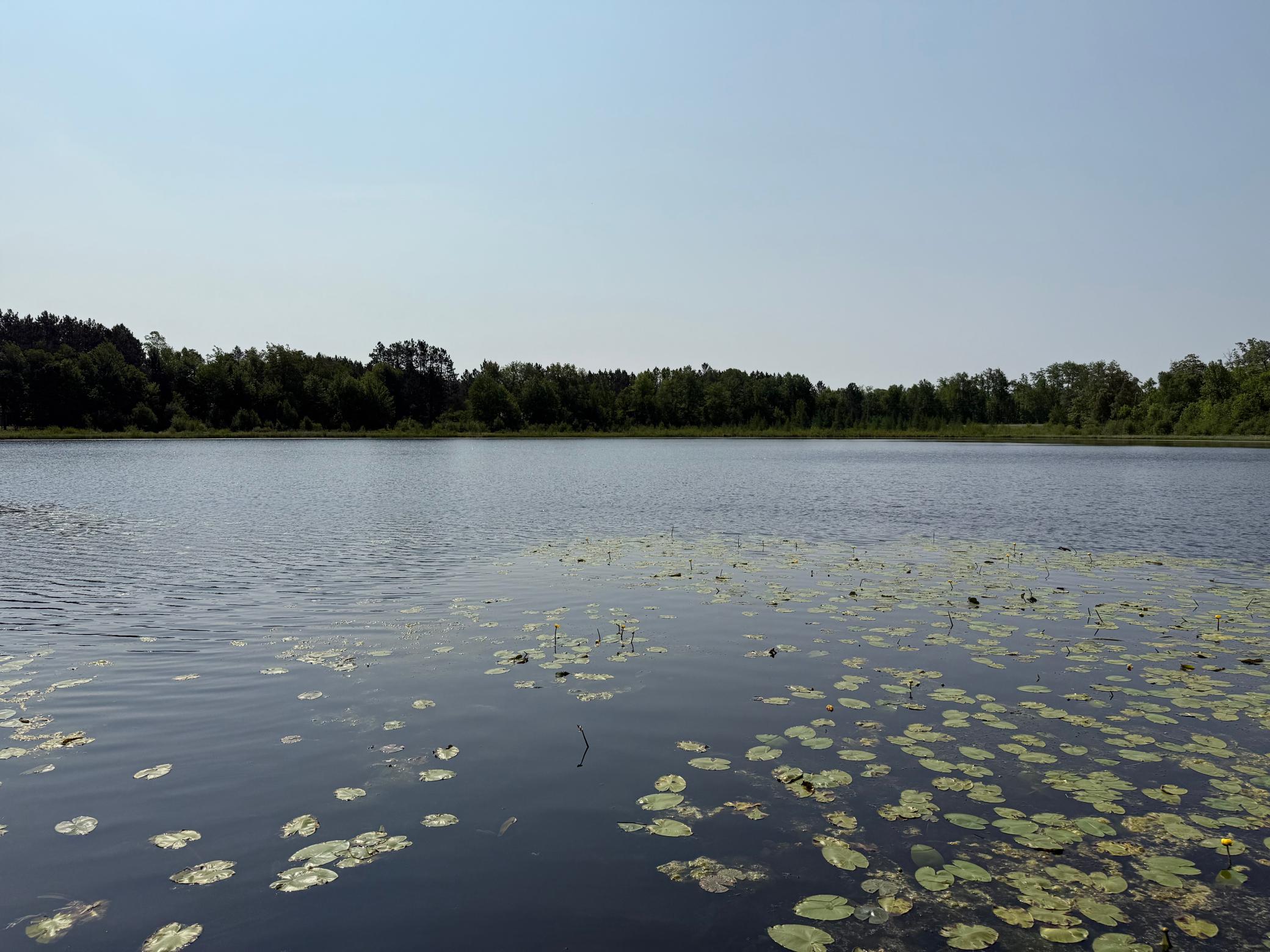 44384 Grace Lake Road Hinckley, MN 55037 - Photo 57 of 75