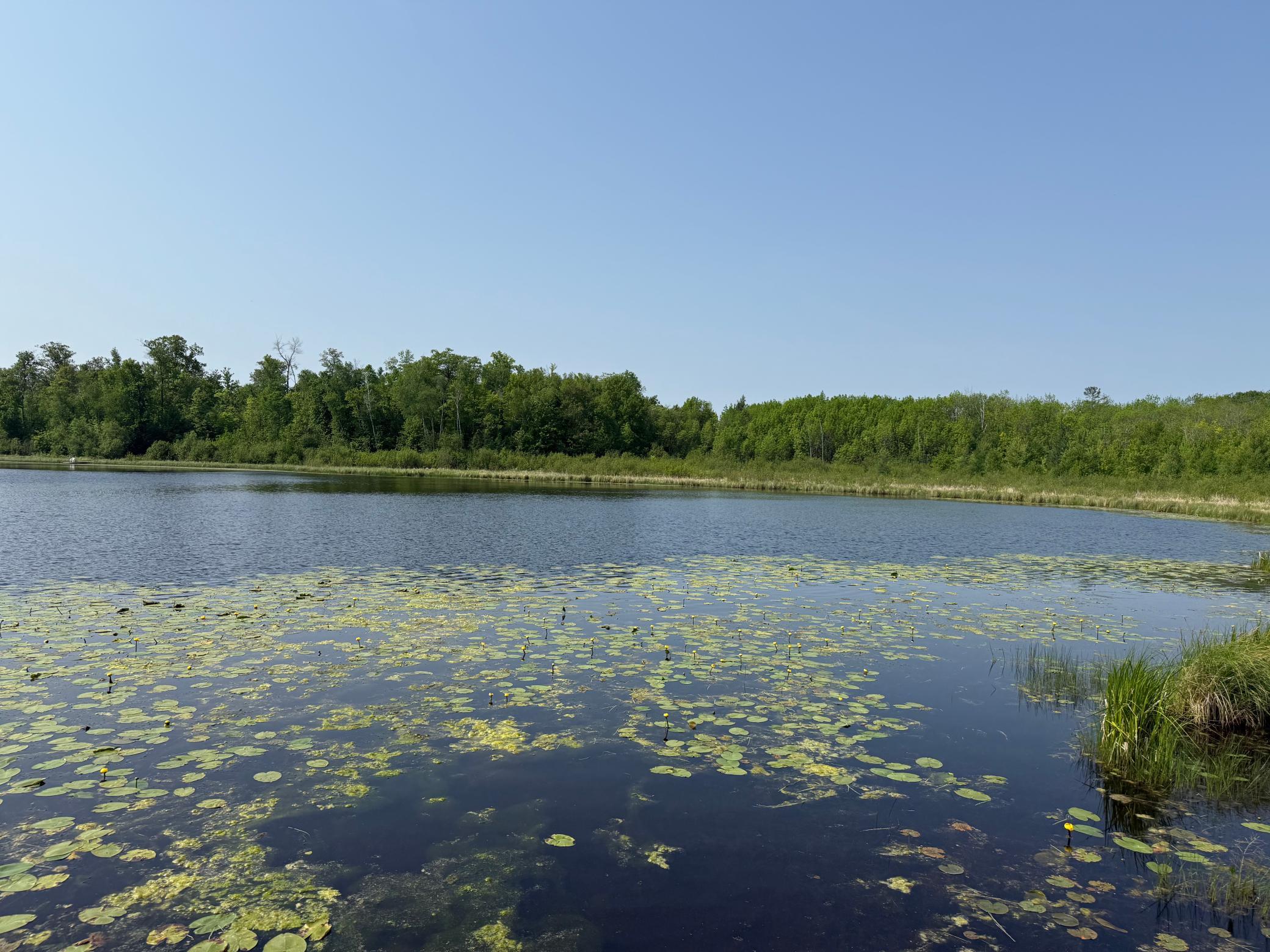 44384 Grace Lake Road Hinckley, MN 55037 - Photo 58 of 75
