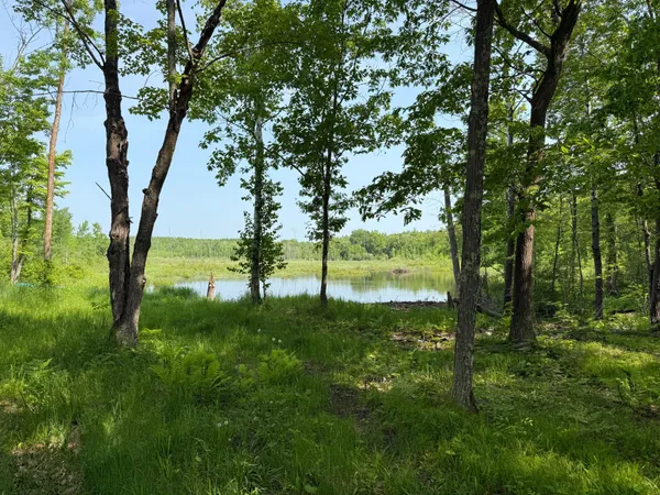 $1,200,000 | 44384 Grace Lake Road, Hinckley, MN 55037