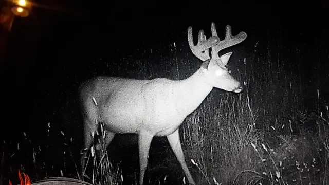 $1,200,000 | 44384 Grace Lake Road, Hinckley, MN 55037