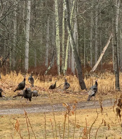 $1,200,000 | 44384 Grace Lake Road, Hinckley, MN 55037