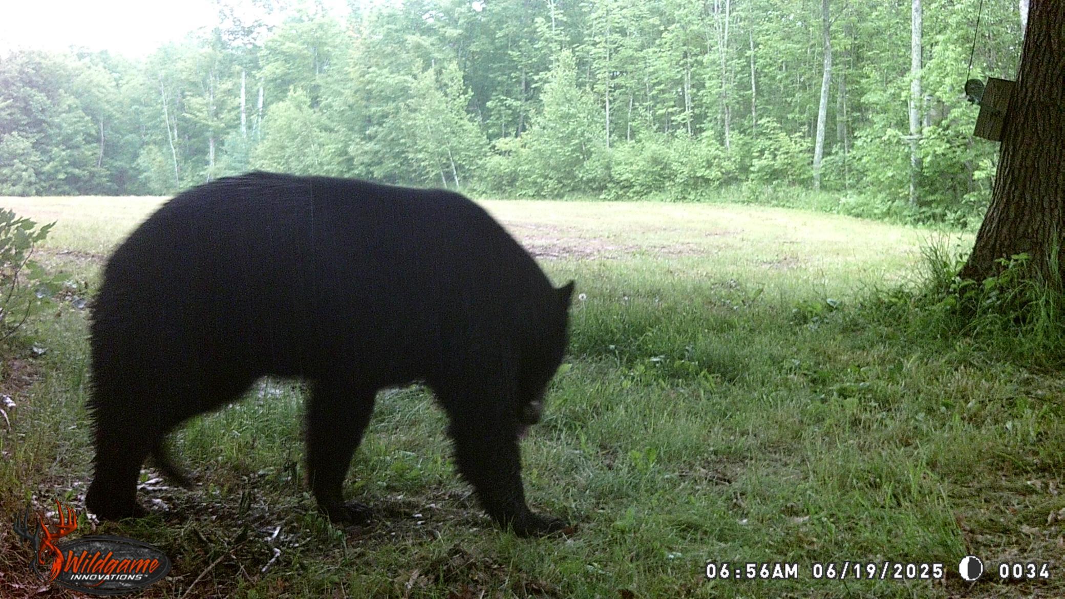 44384 Grace Lake Road Hinckley, MN 55037 - Photo 70 of 75