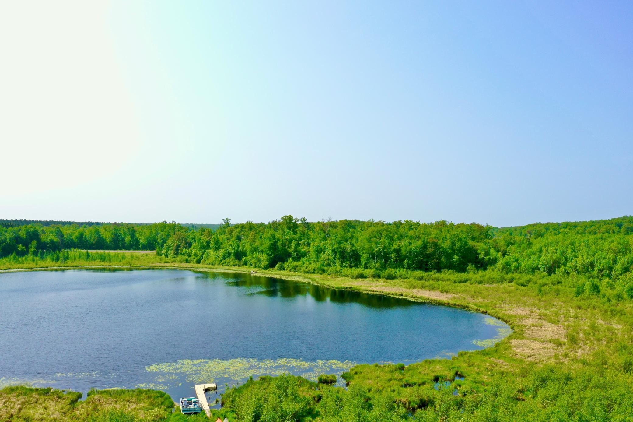 44384 Grace Lake Road Hinckley, MN 55037 - Photo 7 of 75