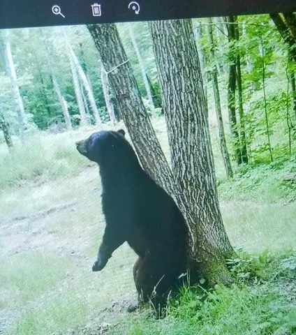 $1,200,000 | 44384 Grace Lake Road, Hinckley, MN 55037