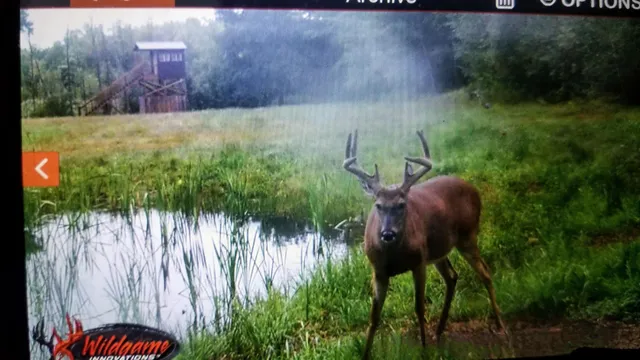 $1,200,000 | 44384 Grace Lake Road, Hinckley, MN 55037