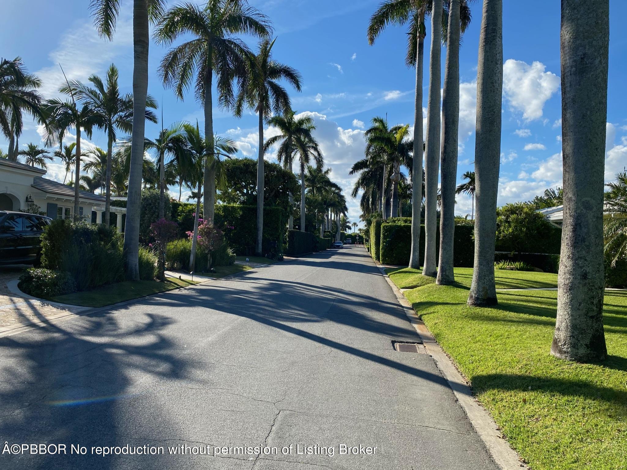 241 List Road Palm Beach, FL 33480 - Photo 2 of 3 a view of a yard with palm trees