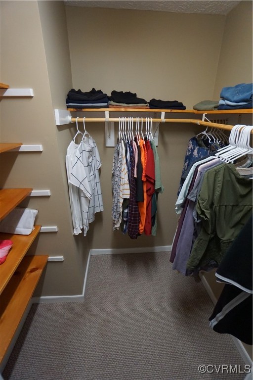 11400 Bailey Mountain Trail Midlothian, VA 23112 - Photo 32 of 41 a view of walk in closet with clothes and shoes