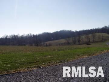 12 Old Cape Road Jonesboro, IL 62952 - Photo 1 of 6 Gallery Image 1