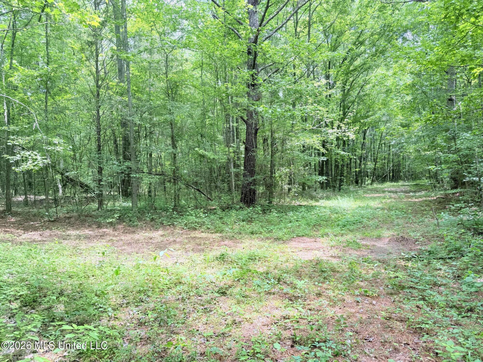 164 Potluck Road Canton, MS 39046 - Photo 10 of 25 IMG_5147