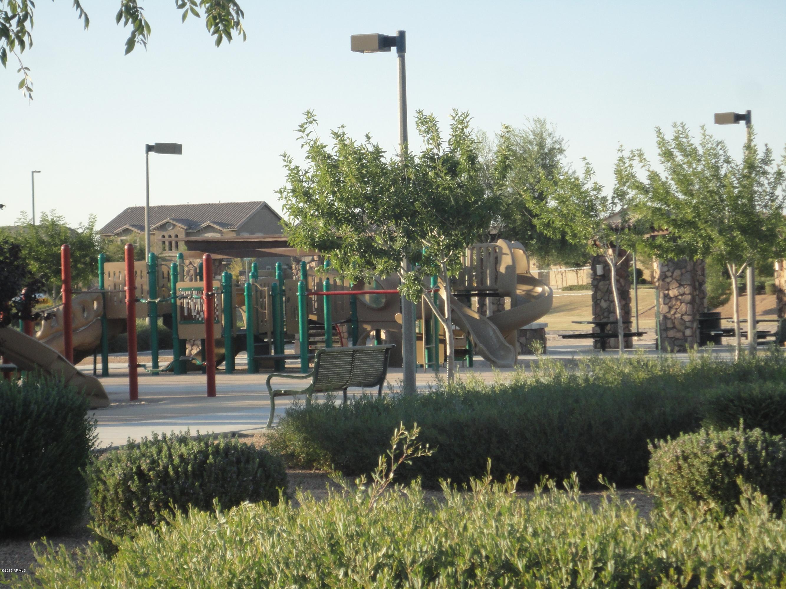 2992 East Blue Ridge Way Gilbert, AZ 85298 - Photo 3 of 11 DSC01528