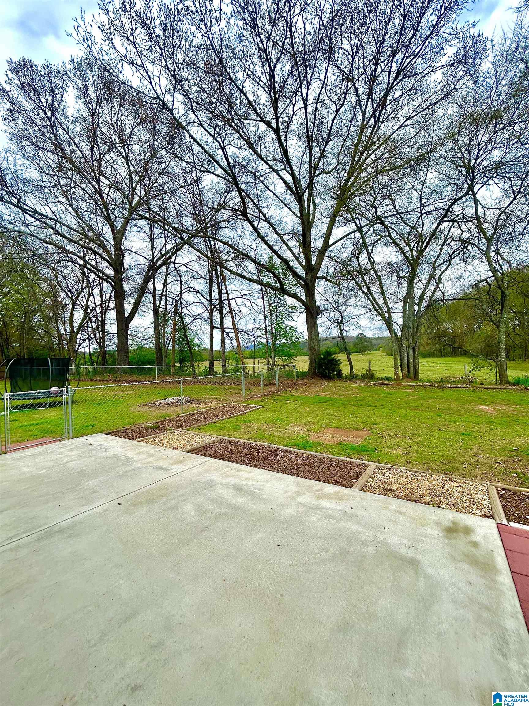 1632 Taylors Chapel Road Eastaboga, AL 36260 - Photo 6 of 25