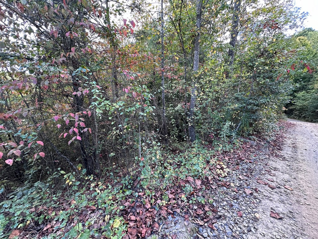 Tbd Ross Ridge Road Murphy, NC 28906 - Photo 6 of 13