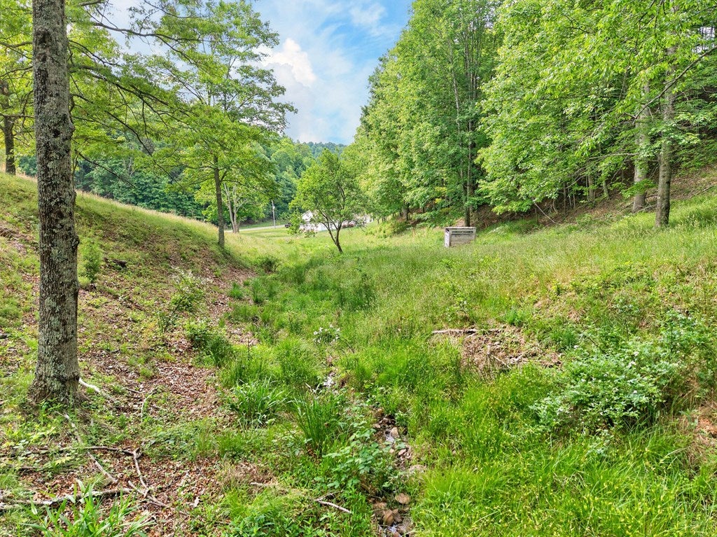 3771 Old Wilderness Road Ceres, VA 24318 - Photo 59 of 83 Gallery Image 59