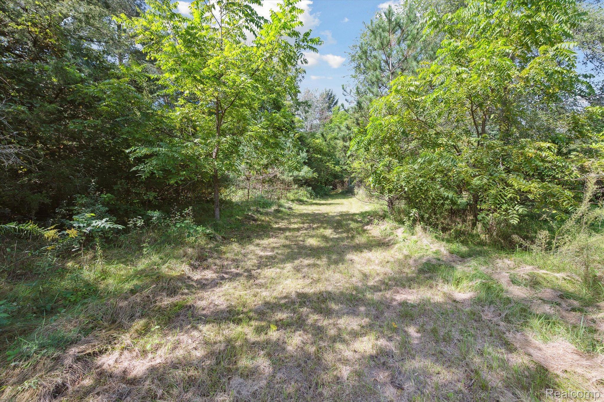 5307 North Seymour Road Flushing, MI 48433 - Photo 33 of 33 Tranquil walking path through the woods.