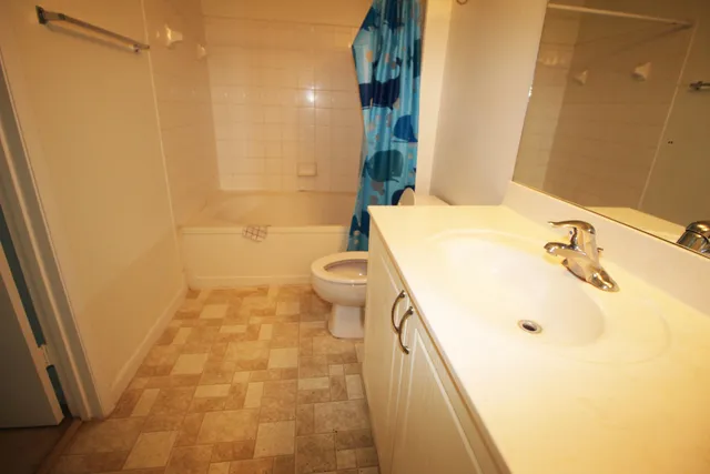 a bathroom with a sink and toilet