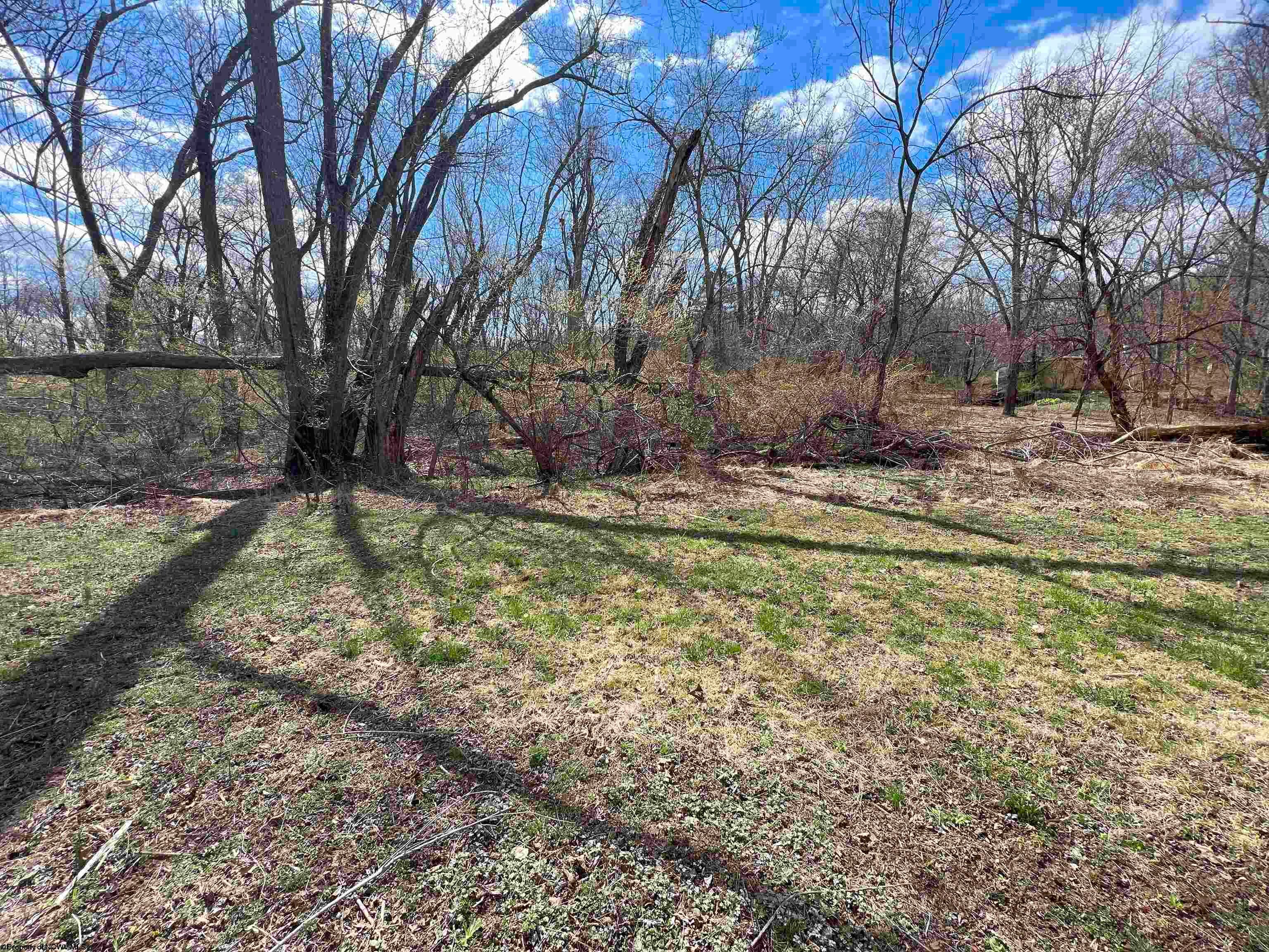 Tbd Walnut Lane Green Spring, WV 26722 - Photo 6 of 10 Gallery Image 6