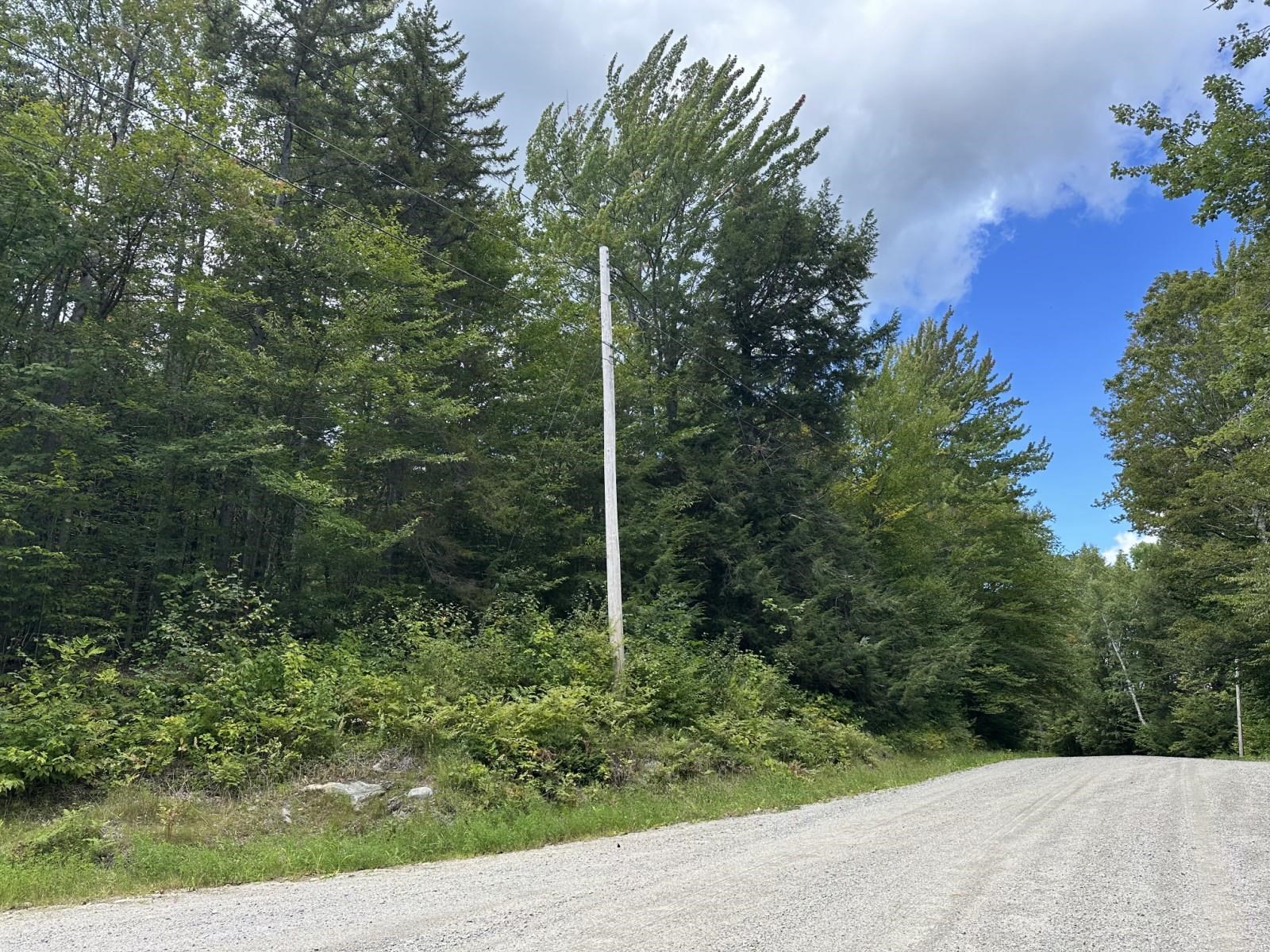 145 Highland View Road Weston, VT 05161 - Photo 3 of 5 Gallery Image 3