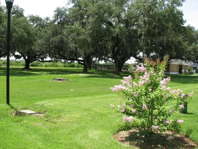 a garden view with a fountain