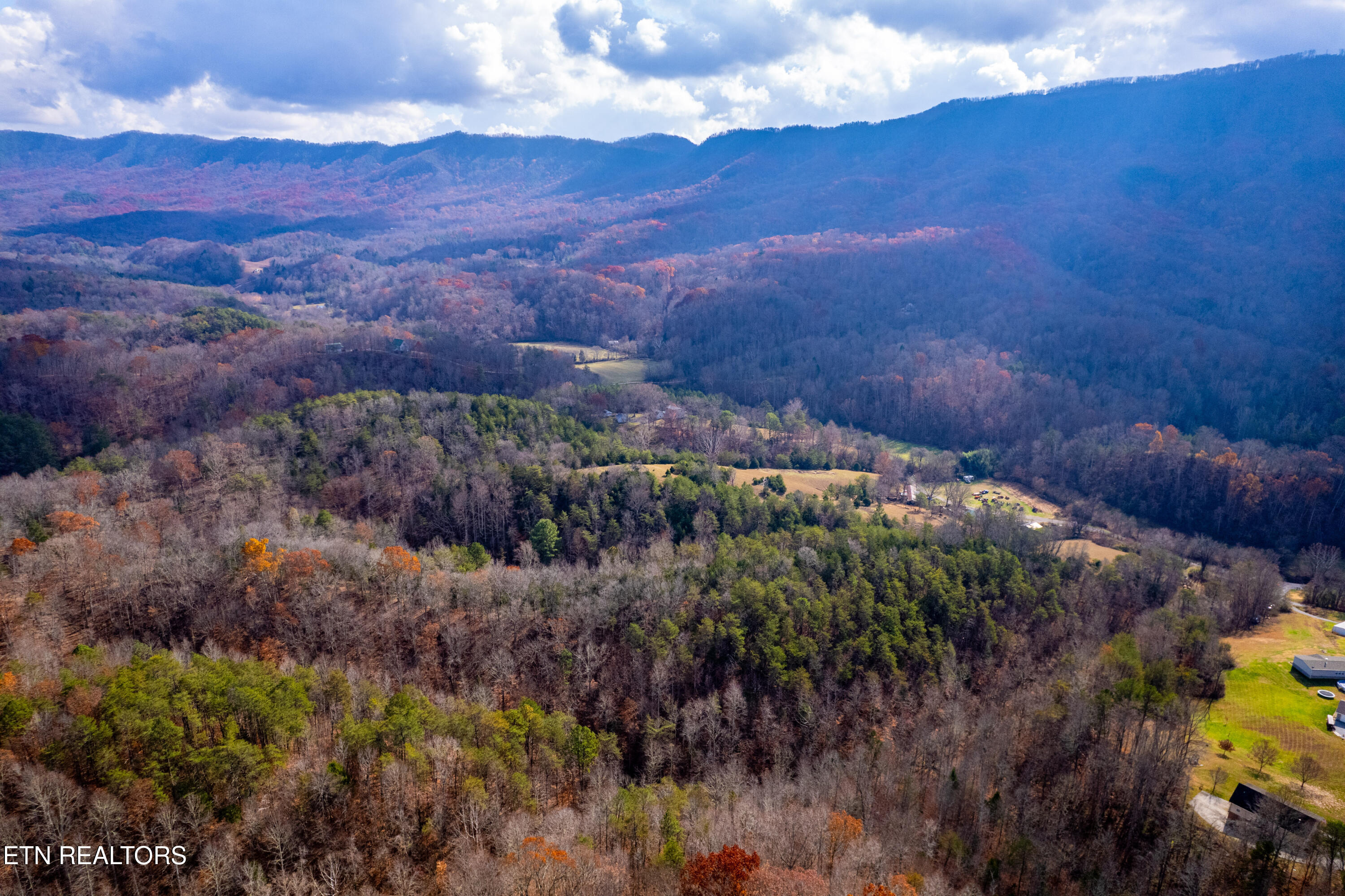 1858 Old Chilhowee Road Seymour, TN 37865 - Photo 19 of 19 1858OldChilhoweeRd-29