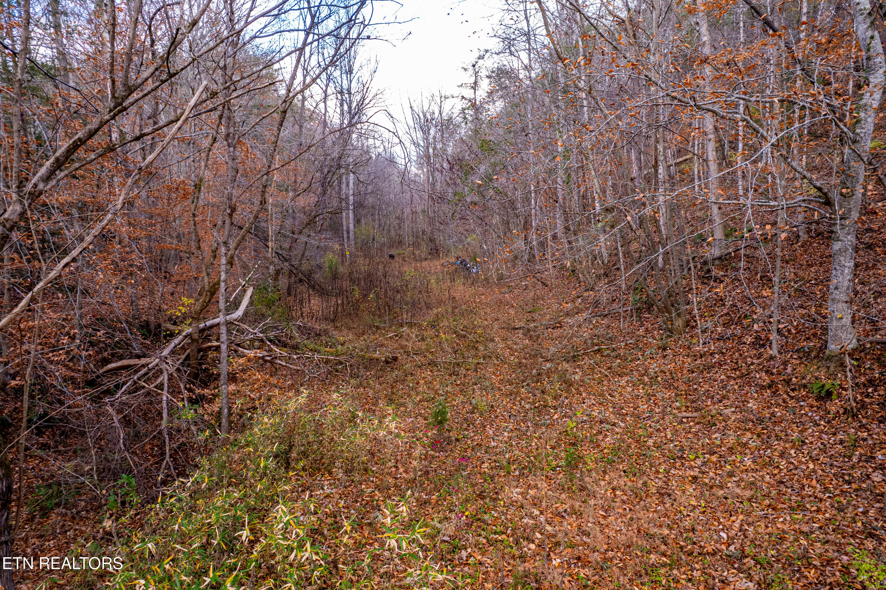 1858 Old Chilhowee Road Seymour, TN 37865 - Photo 6 of 19 1858OldChilhoweeRd-5