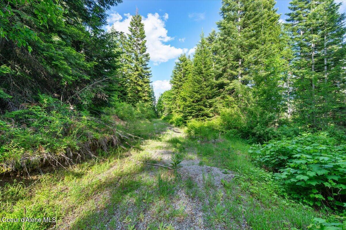 17378 North Freddi Road Rathdrum, ID 83858 - Photo 69 of 83 69-View
