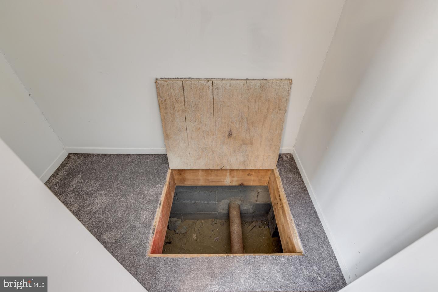 65 Eaves Mill Road Medford, NJ 08055 - Photo 14 of 46 Carpet lifts up and door opens to crawl space
