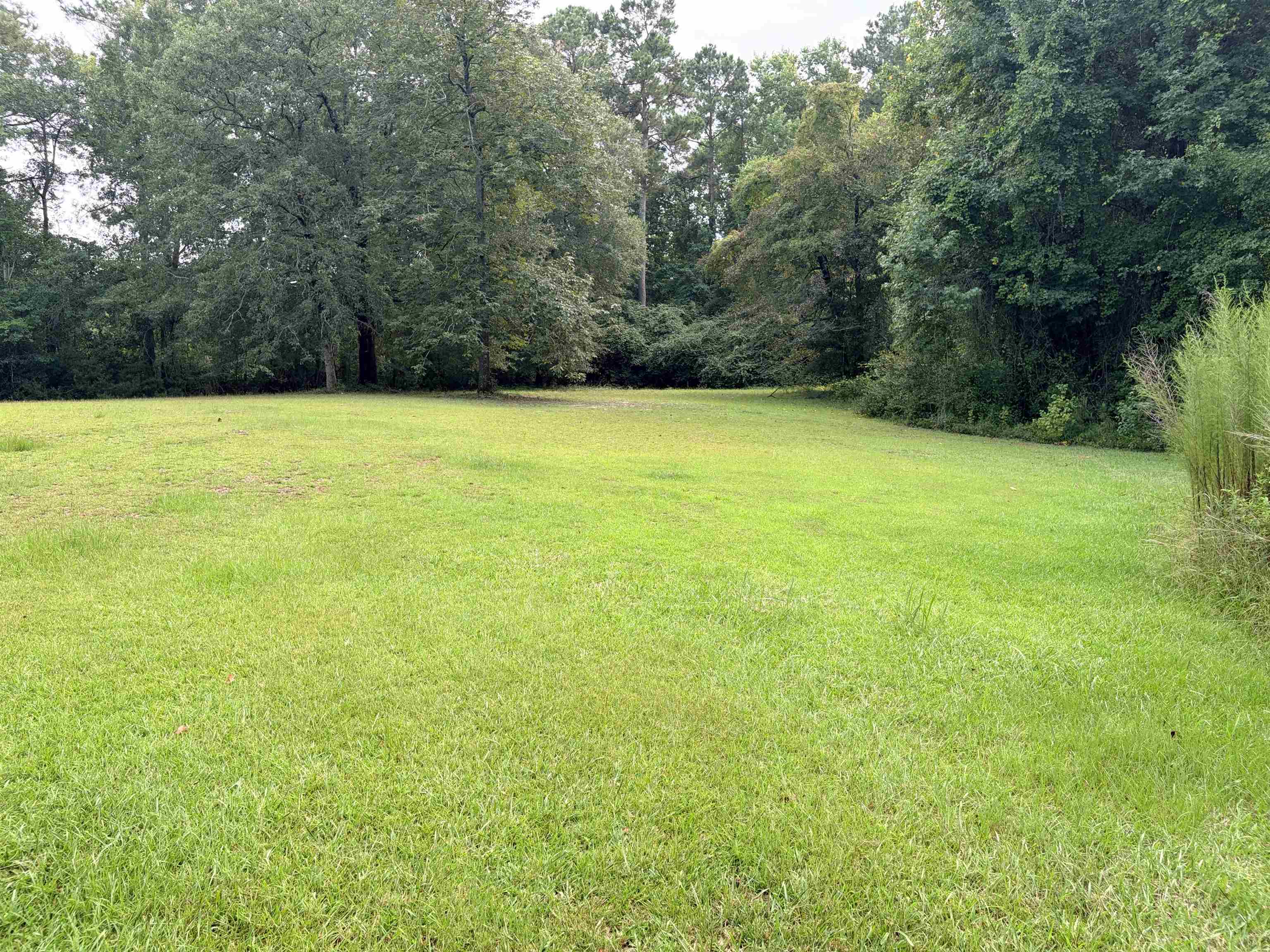 7330 Greenview Loop Nichols, SC 29581 - Photo 24 of 27 Gallery Image 24