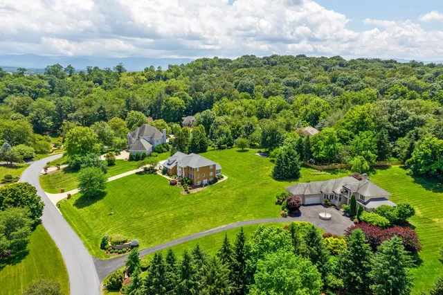 an aerial view of residential houses with outdoor space and trees