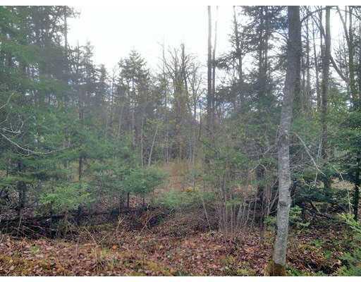 78 Lapoint Road Stetson, ME 04488 - Photo 15 of 20 Yard/Garden.