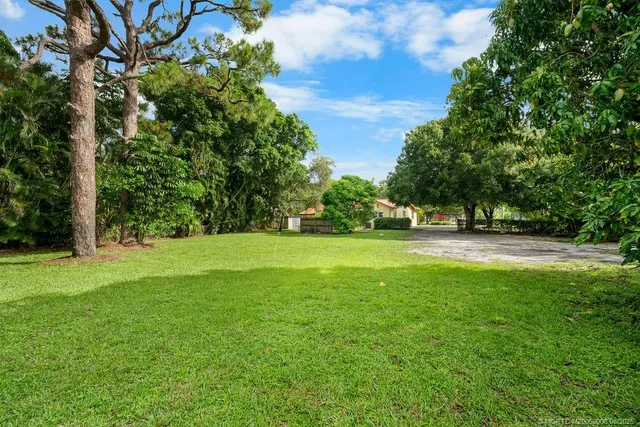 a view of green field