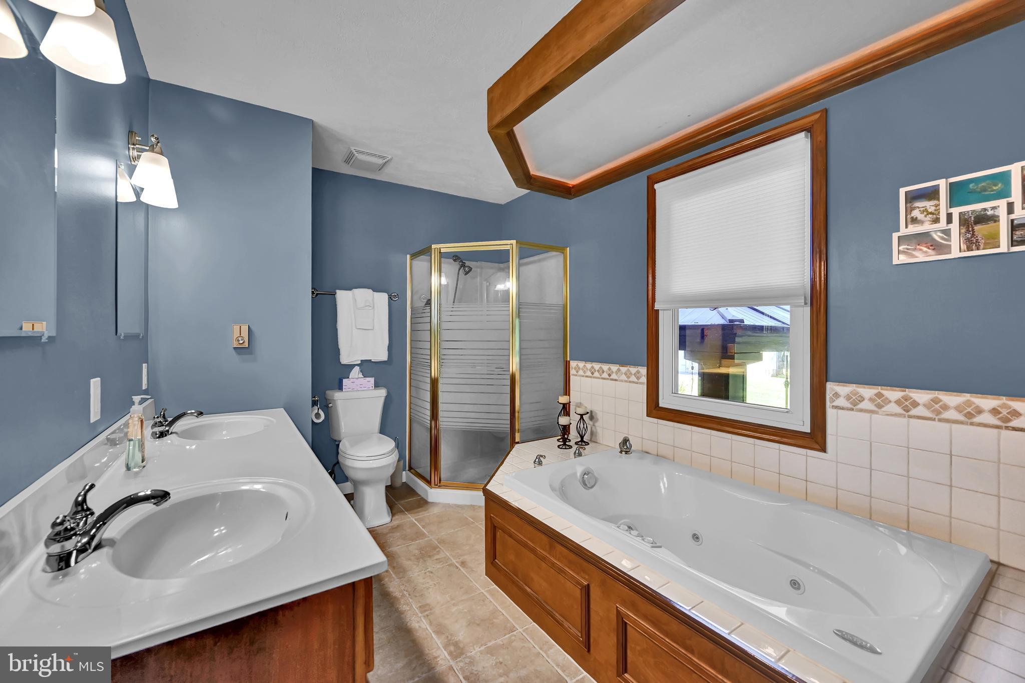 2227 Slagel Road Spring Grove, PA 17362 - Photo 21 of 53 Master bath with double sinks and soaking tub.