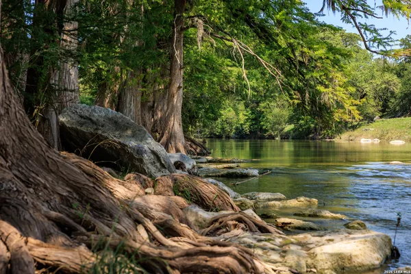 a view of a lake with a tree
