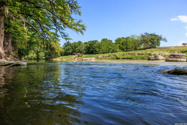 a view of a house with backyard and a tree