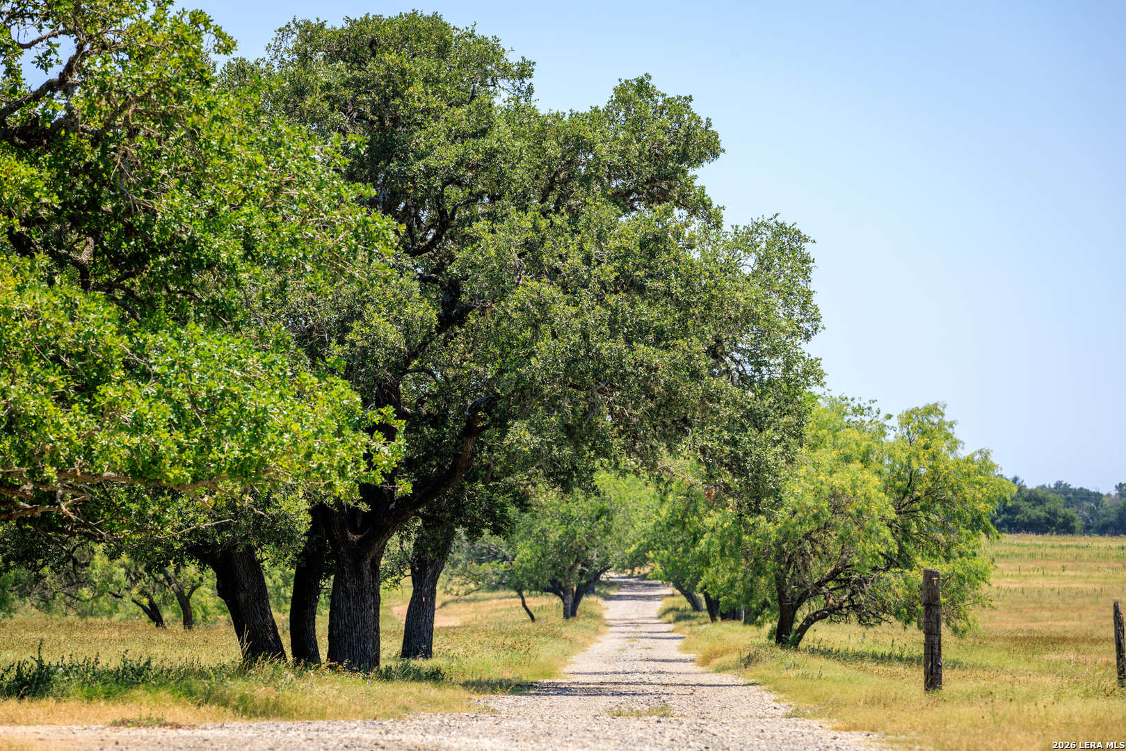 0 Comfort River Ranch Comfort, TX 78013 - Photo 23 of 23 a view of a yard with an trees