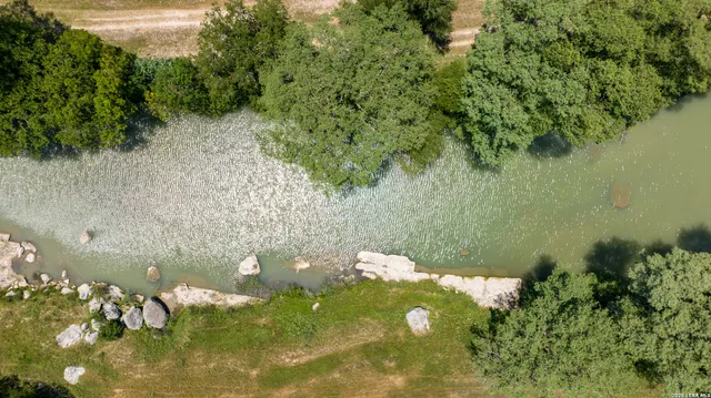 a close up of a flower in a garden