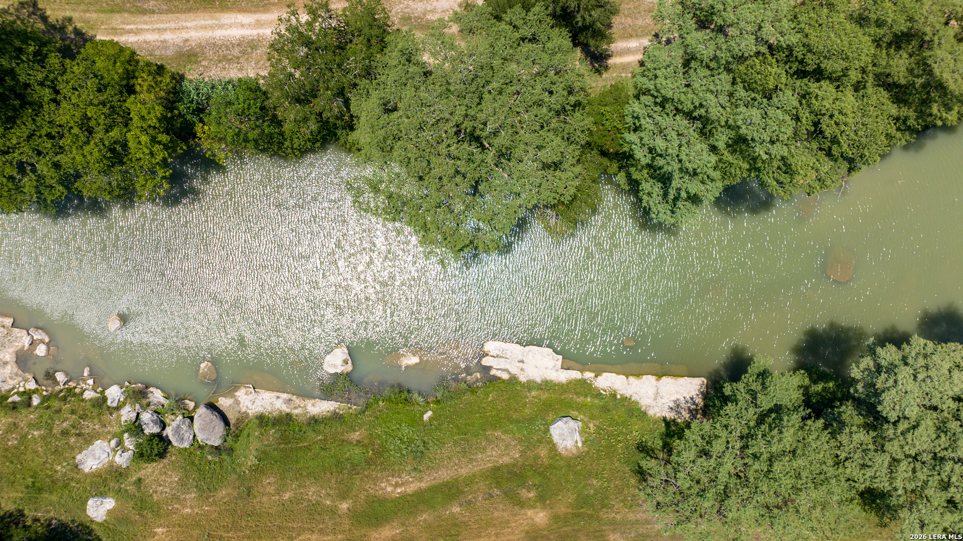0 Comfort River Ranch Comfort, TX 78013 - Photo 7 of 23 a close up of a flower in a garden