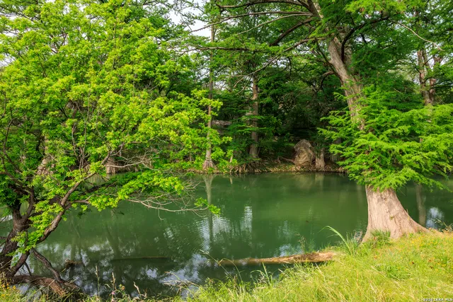 a view of a lake from a garden