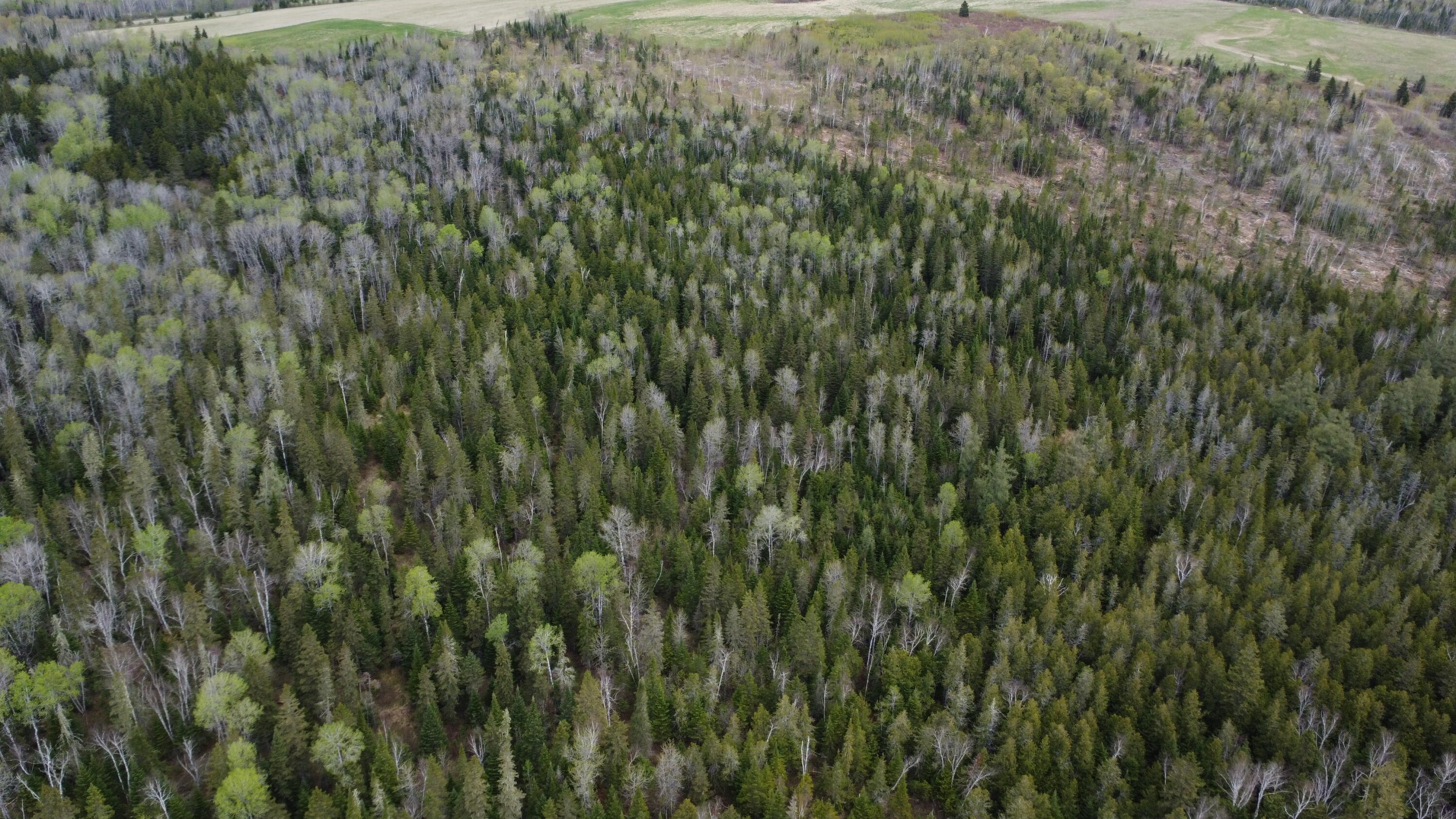 M5-l15 Alexander Road Van Buren, ME 04785 - Photo 6 of 18 dji_fly_20260521_100500_379_177937231971