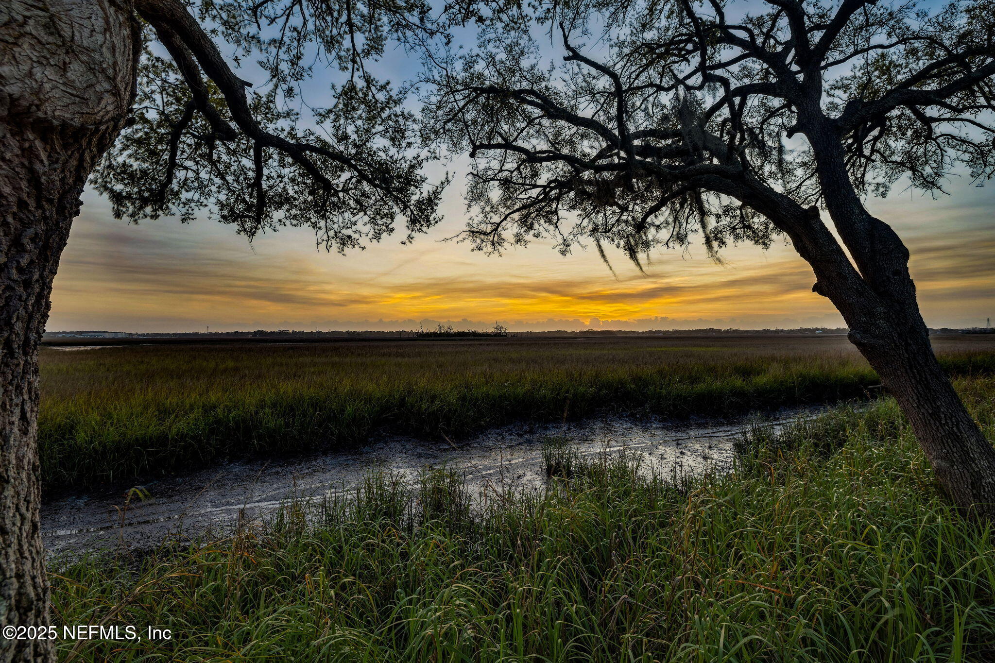83 Tallwood Road Jacksonville Beach, FL 32250 - Photo 54 of 66 a view of swimming pool from a yard