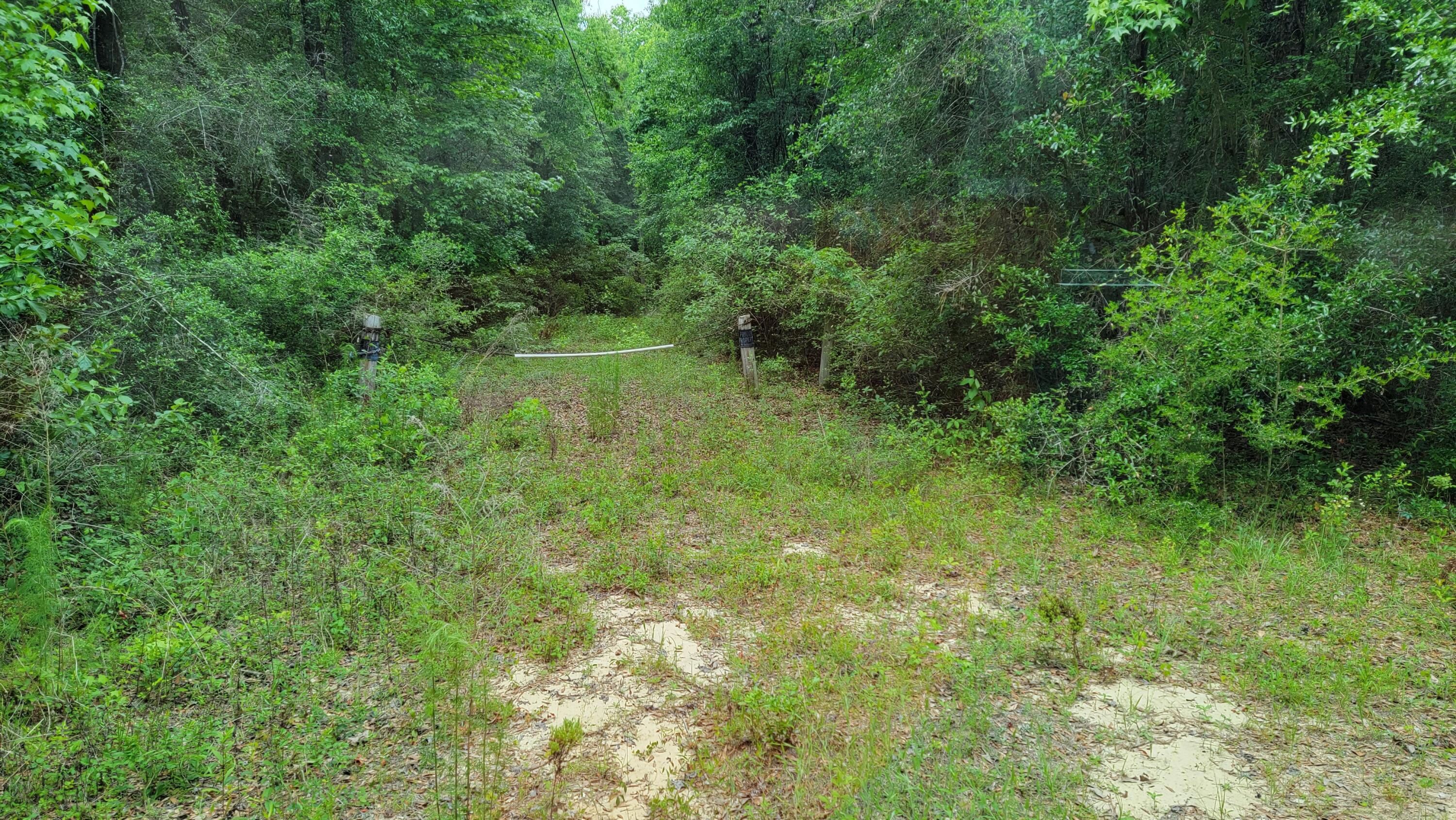 Lot 5 River Loop Drive Crestview, FL 32536 - Photo 2 of 5 a view of a green field with lots of bushes