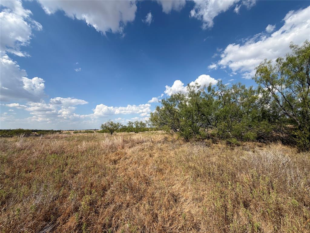 1796 Browning Road Bellevue, TX 76228 - Photo 15 of 18 Gallery Image 15