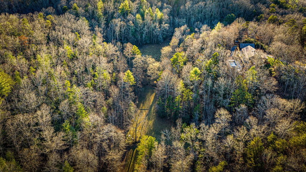 178 Arp Road Mineral Bluff, GA 30559 - Photo 70 of 75