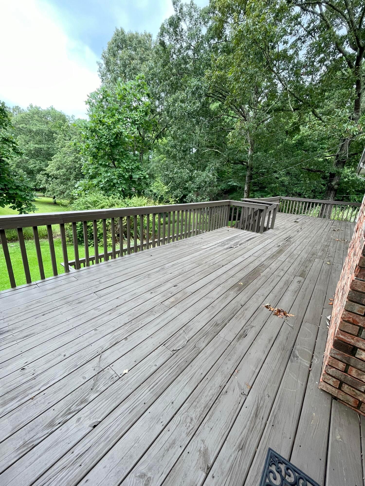 906 Arkadelphia Road Jasper, AL 35504 - Photo 3 of 15 Gallery Image 3