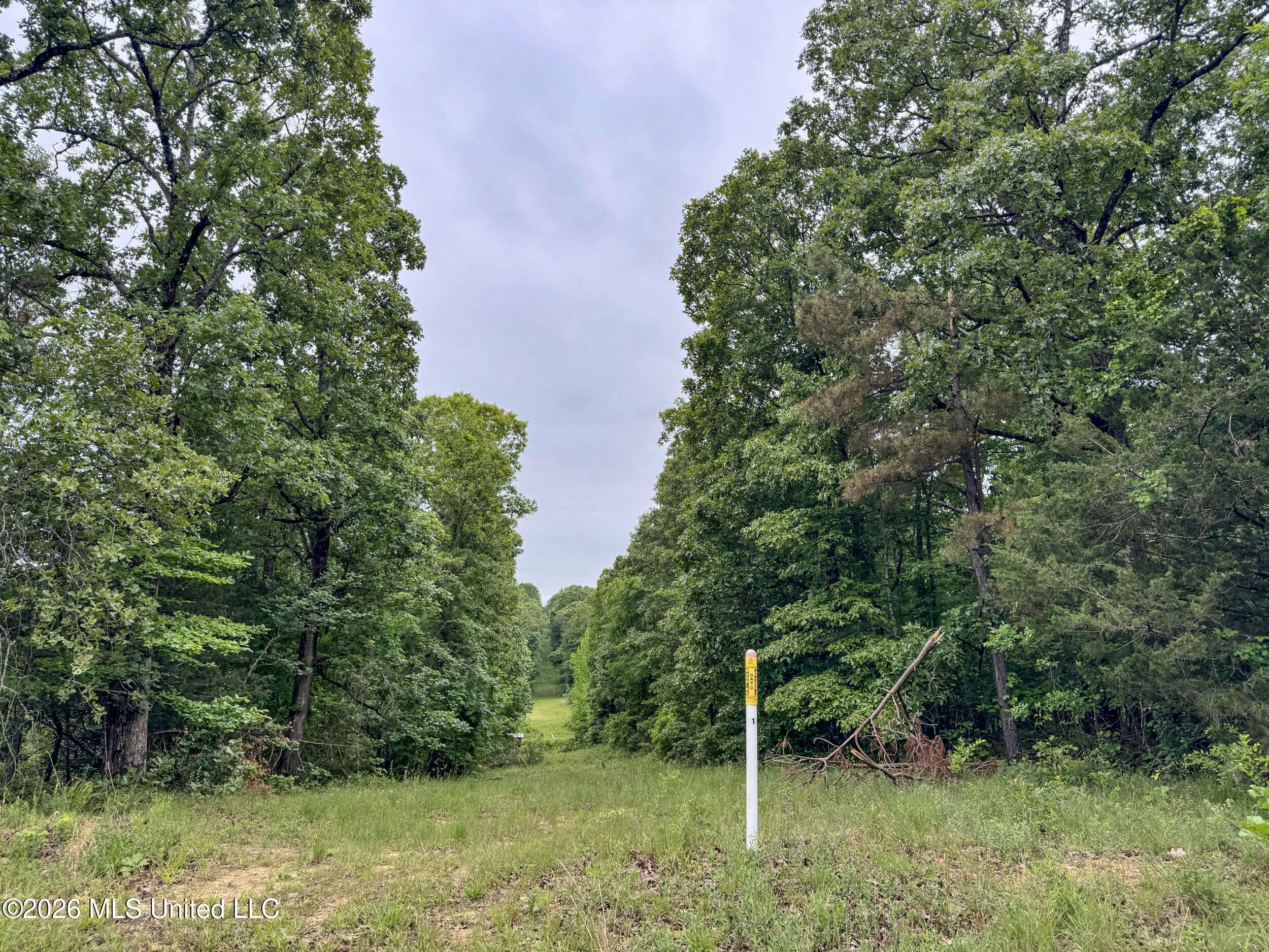 Wayne Massie Road Como, MS 38619 - Photo 78 of 184 5cdtbs2