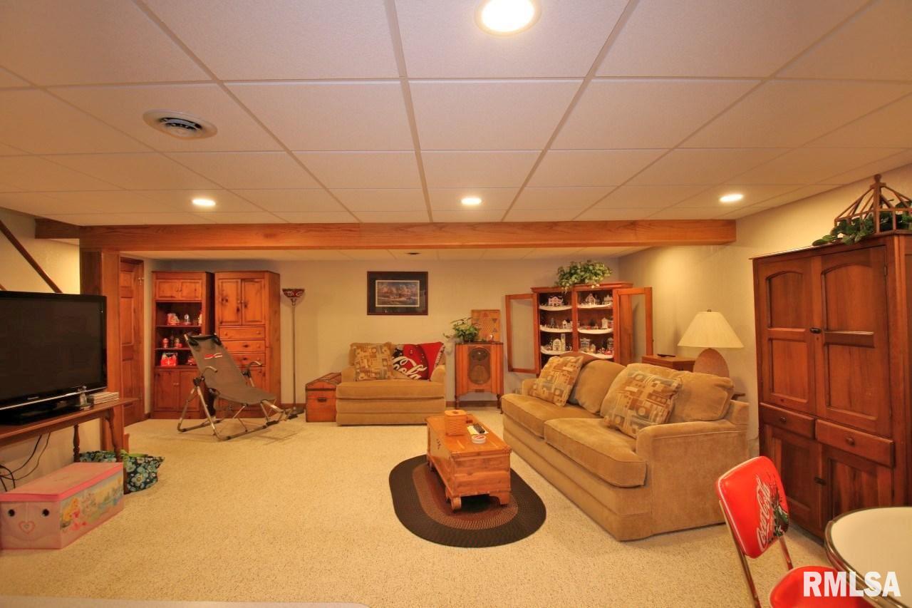 23197 North Arrow Road Cuba, IL 61427 - Photo 28 of 35 Gallery Image 28