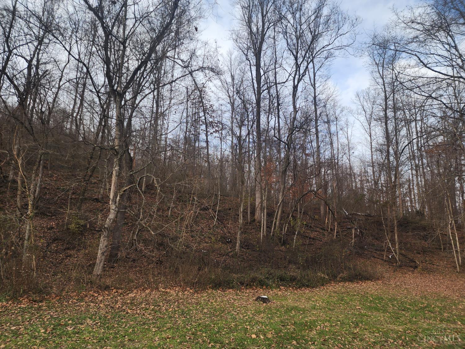 4655 Grassy Fork Road Peebles, OH 45660 - Photo 10 of 30