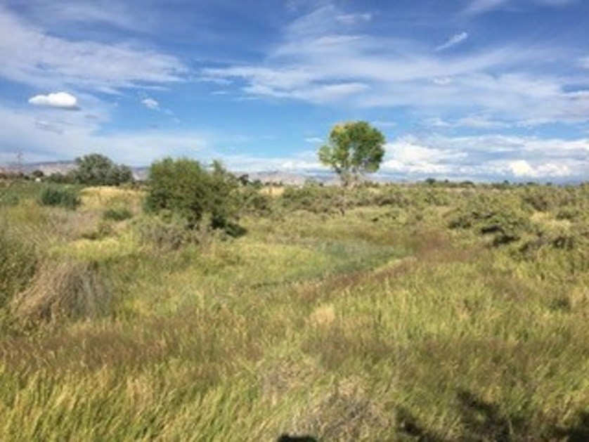 1762 L 1/2 Road Fruita, CO 81521 - Photo 2 of 7 a view of a green field