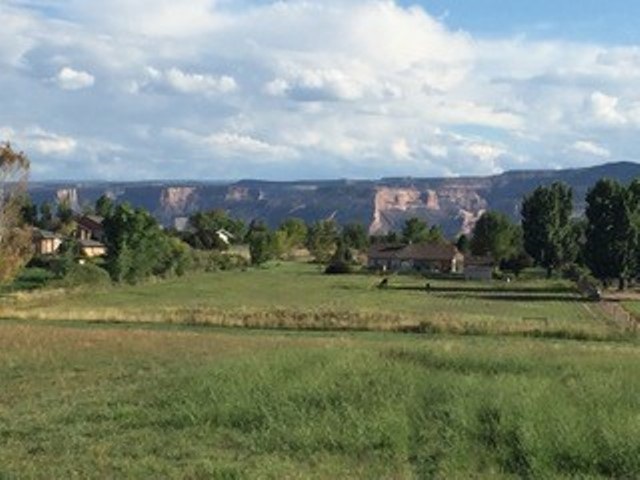 1762 L 1/2 Road Fruita, CO 81521 - Photo 5 of 7 a view of a big yard with lots of green space