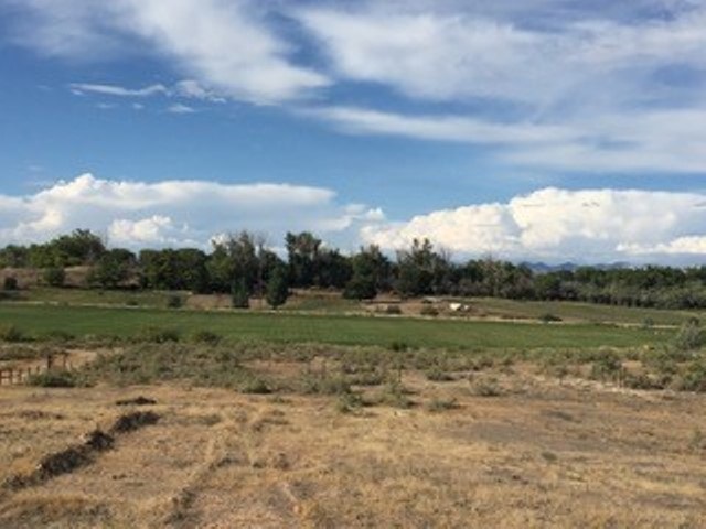1762 L 1/2 Road Fruita, CO 81521 - Photo 7 of 7 a view of a field with large trees