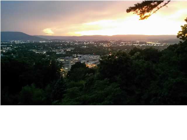 181 North Crest Road Chattanooga, TN 37404 - Photo 1 of 46 Primary Photo